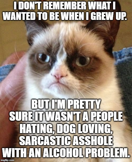 Grumpy Cat Meme | I DON'T REMEMBER WHAT I WANTED TO BE WHEN I GREW UP. BUT I'M PRETTY SURE IT WASN'T A PEOPLE HATING, DOG LOVING, SARCASTIC ASSHOLE WITH AN ALCOHOL PROBLEM. | image tagged in memes,grumpy cat | made w/ Imgflip meme maker