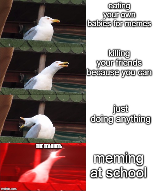 E | eating your own babies for memes; killing your friends because you can; just doing anything; THE TEACHER:; meming at school | image tagged in inhaling seagull,memes,funny,funny memes | made w/ Imgflip meme maker