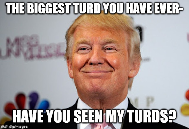 Donald trump approves | THE BIGGEST TURD YOU HAVE EVER- HAVE YOU SEEN MY TURDS? | image tagged in donald trump approves | made w/ Imgflip meme maker