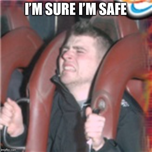 The Roller Coaster Kid | I’M SURE I’M SAFE | image tagged in the roller coaster kid | made w/ Imgflip meme maker