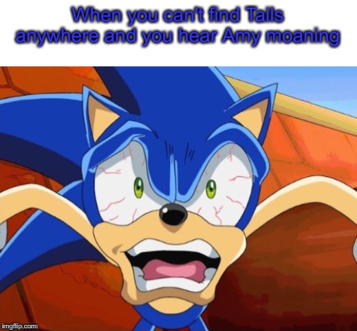 Uh Oh! Tails Is In Amy's Room! | When you can't find Tails anywhere and you hear Amy moaning | image tagged in sonic scared face,tails,amy rose,moaning,oh naw,dirty joke | made w/ Imgflip meme maker
