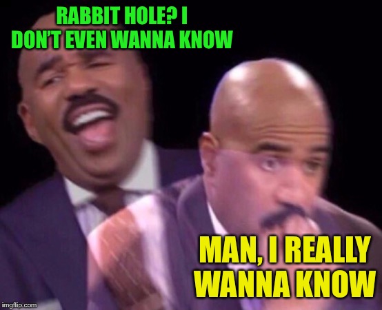 Steve Harvey Laughing Serious | RABBIT HOLE? I DON’T EVEN WANNA KNOW MAN, I REALLY WANNA KNOW | image tagged in steve harvey laughing serious | made w/ Imgflip meme maker