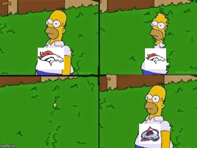 HOMER BUSH | image tagged in homer bush,DenverBroncos | made w/ Imgflip meme maker