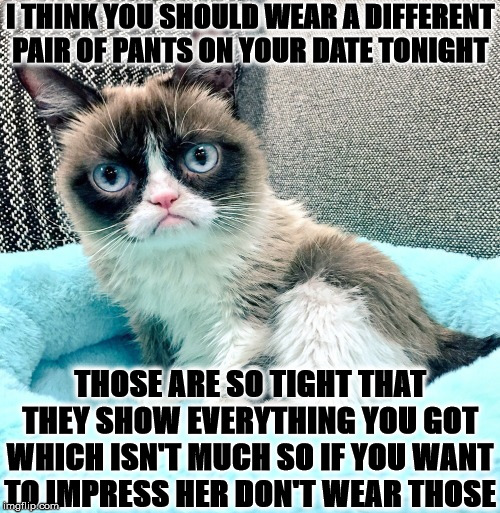 JUDGEMENT GRUMPY | I THINK YOU SHOULD WEAR A DIFFERENT PAIR OF PANTS ON YOUR DATE TONIGHT; THOSE ARE SO TIGHT THAT THEY SHOW EVERYTHING YOU GOT WHICH ISN'T MUCH SO IF YOU WANT TO IMPRESS HER DON'T WEAR THOSE | image tagged in judgement grumpy | made w/ Imgflip meme maker