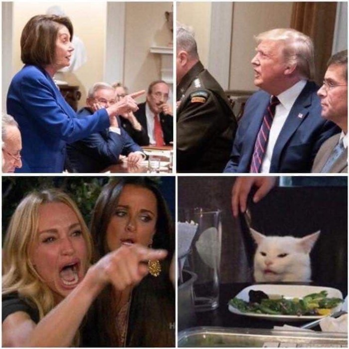 cat in the white house Blank Meme Template