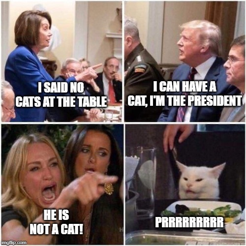 cat in the white house | I CAN HAVE A CAT, I'M THE PRESIDENT; I SAID NO CATS AT THE TABLE; HE IS NOT A CAT! PRRRRRRRRR | image tagged in cat in the white house | made w/ Imgflip meme maker