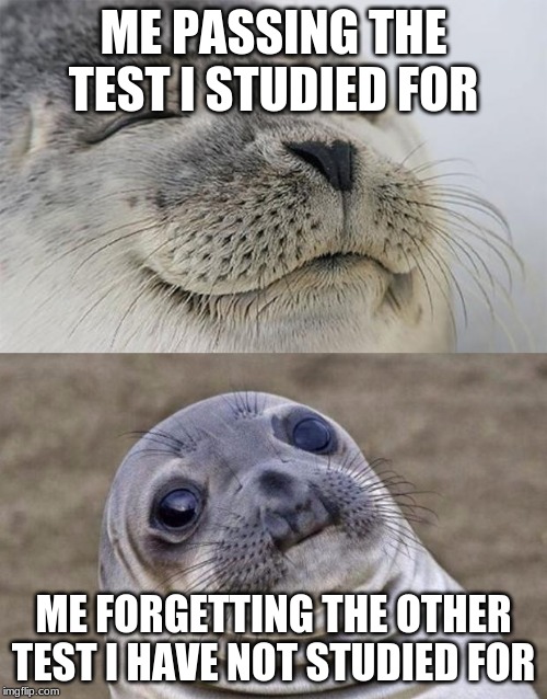 Short Satisfaction VS Truth Meme | ME PASSING THE TEST I STUDIED FOR; ME FORGETTING THE OTHER TEST I HAVE NOT STUDIED FOR | image tagged in memes,short satisfaction vs truth | made w/ Imgflip meme maker