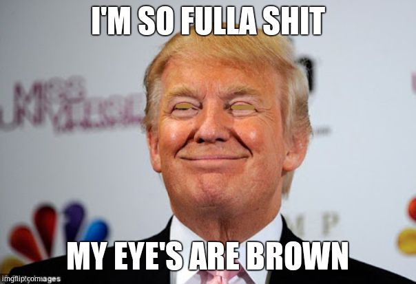 Donald trump approves | I'M SO FULLA SHIT MY EYE'S ARE BROWN | image tagged in donald trump approves | made w/ Imgflip meme maker