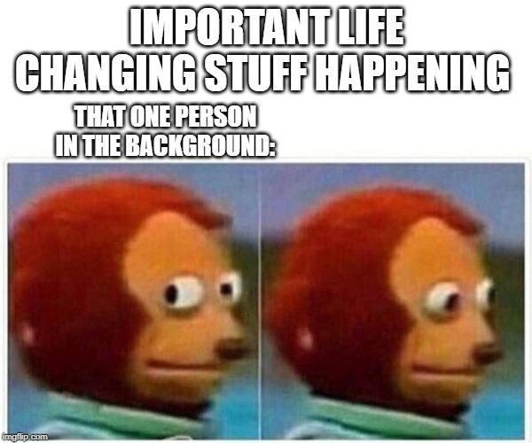 Monkey Puppet | IMPORTANT LIFE CHANGING STUFF HAPPENING; THAT ONE PERSON IN THE BACKGROUND: | image tagged in monkey puppet | made w/ Imgflip meme maker