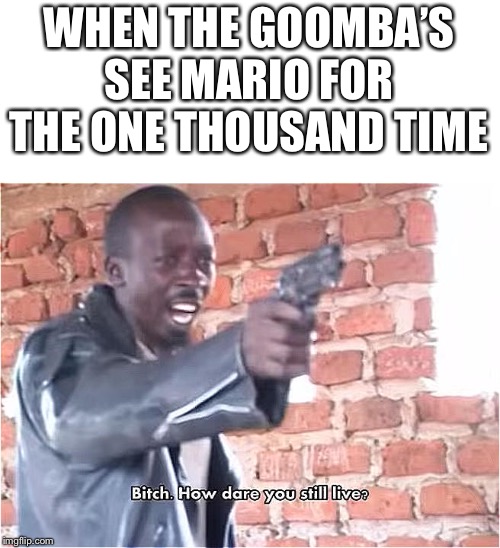 Bitch. How dare you still live | WHEN THE GOOMBA’S SEE MARIO FOR THE ONE THOUSAND TIME | image tagged in bitch how dare you still live | made w/ Imgflip meme maker