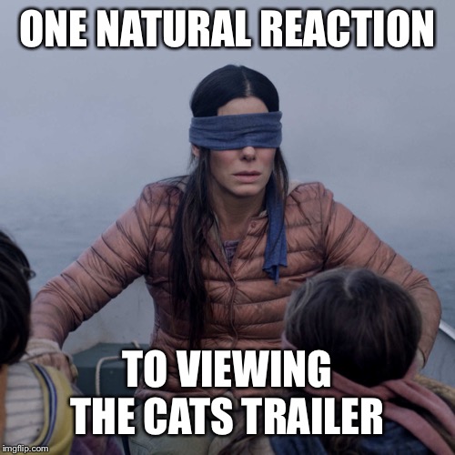 Bird Box Meme | ONE NATURAL REACTION; TO VIEWING THE CATS TRAILER | image tagged in memes,bird box | made w/ Imgflip meme maker
