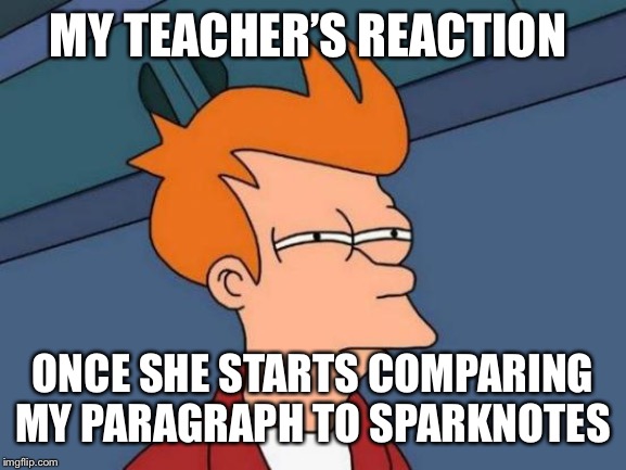 Futurama Fry | MY TEACHER’S REACTION; ONCE SHE STARTS COMPARING MY PARAGRAPH TO SPARKNOTES | image tagged in memes,futurama fry | made w/ Imgflip meme maker
