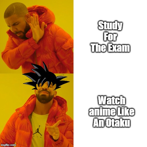 Drake Hotline Bling | Study For The Exam; Watch anime Like An Otaku | image tagged in memes,drake hotline bling | made w/ Imgflip meme maker