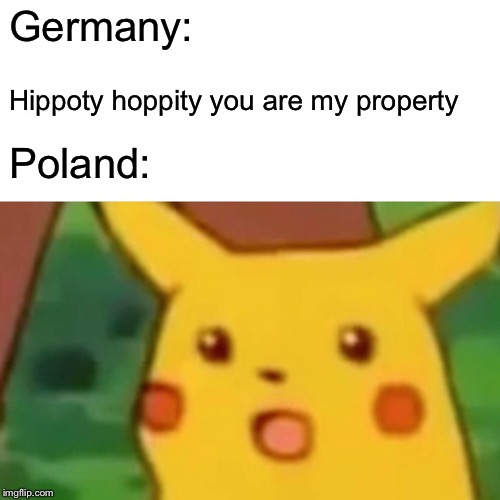Surprised Pikachu | Germany:; Hippoty hoppity you are my property; Poland: | image tagged in memes,surprised pikachu | made w/ Imgflip meme maker