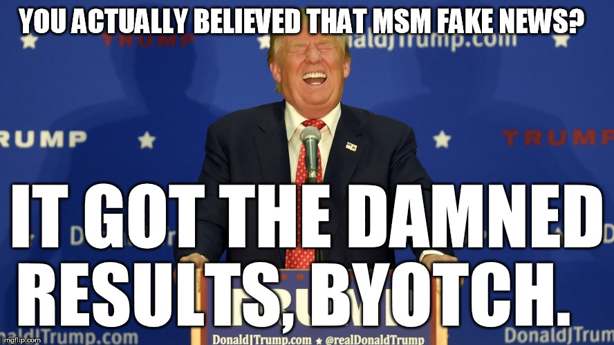 Laughing Trump | YOU ACTUALLY BELIEVED THAT MSM FAKE NEWS? IT GOT THE DAMNED RESULTS, BYOTCH. | image tagged in laughing trump | made w/ Imgflip meme maker