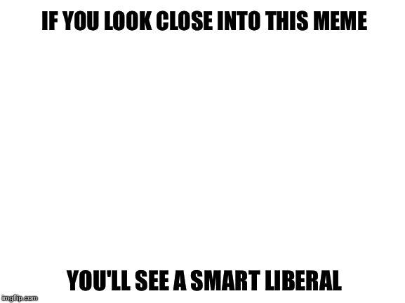 Blank White Template | IF YOU LOOK CLOSE INTO THIS MEME; YOU'LL SEE A SMART LIBERAL | image tagged in blank white template | made w/ Imgflip meme maker