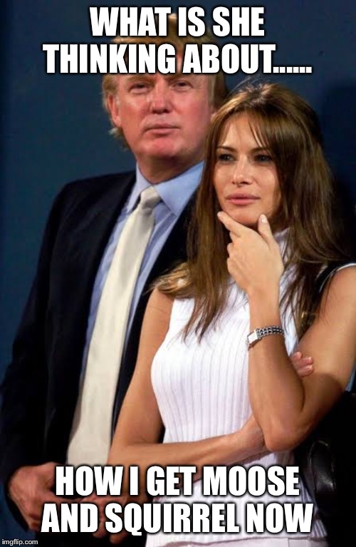 WHAT IS SHE THINKING ABOUT...... HOW I GET MOOSE AND SQUIRREL NOW | image tagged in melania trump | made w/ Imgflip meme maker