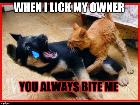 WHEN I LICK MY OWNER; YOU ALWAYS BITE ME | image tagged in fun | made w/ Imgflip meme maker