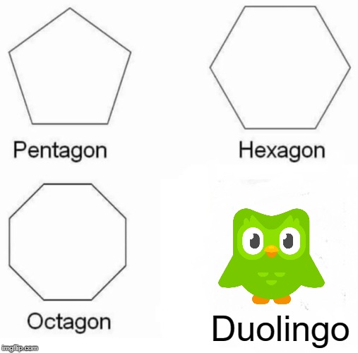 Pentagon Hexagon Octagon | Duolingo | image tagged in memes,pentagon hexagon octagon | made w/ Imgflip meme maker