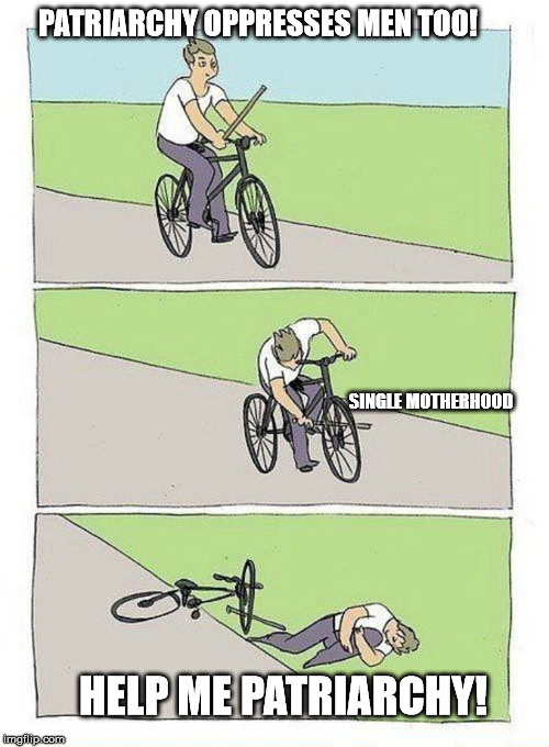 Bike Fall Meme | PATRIARCHY OPPRESSES MEN TOO! SINGLE MOTHERHOOD; HELP ME PATRIARCHY! | image tagged in bike fall | made w/ Imgflip meme maker