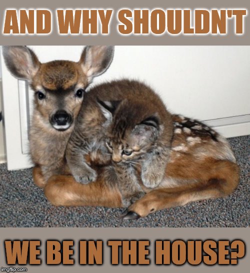 AND WHY SHOULDN'T WE BE IN THE HOUSE? | made w/ Imgflip meme maker