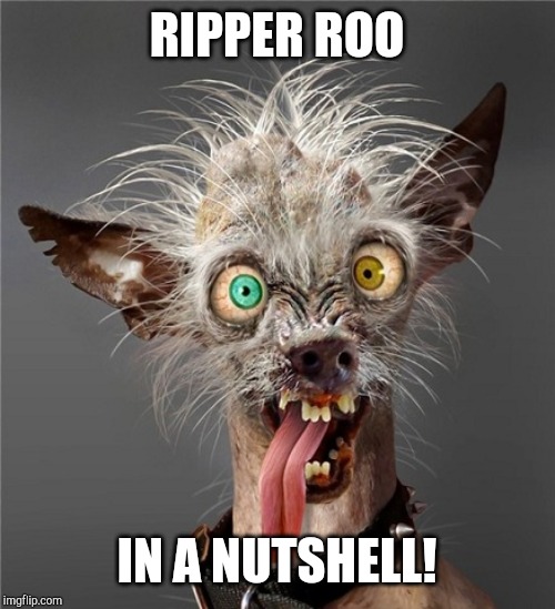 Me Monday morning | RIPPER ROO; IN A NUTSHELL! | image tagged in me monday morning | made w/ Imgflip meme maker