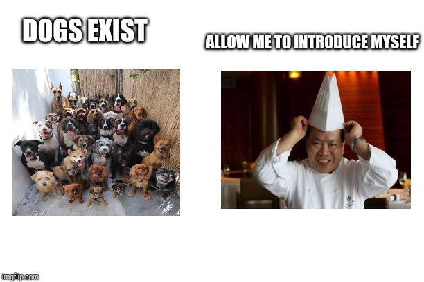 Chinese Chef | DOGS EXIST; ALLOW ME TO INTRODUCE MYSELF | image tagged in funny memes | made w/ Imgflip meme maker