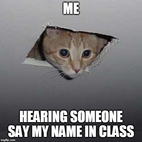 Ceiling Cat | ME; HEARING SOMEONE SAY MY NAME IN CLASS | image tagged in memes,ceiling cat | made w/ Imgflip meme maker