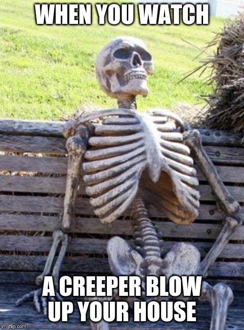 Waiting Skeleton | WHEN YOU WATCH; A CREEPER BLOW UP YOUR HOUSE | image tagged in memes,waiting skeleton | made w/ Imgflip meme maker