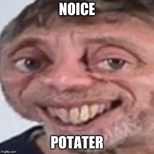 Noice | NOICE; POTATER | image tagged in noice | made w/ Imgflip meme maker