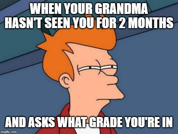 Futurama Fry Meme | WHEN YOUR GRANDMA HASN'T SEEN YOU FOR 2 MONTHS; AND ASKS WHAT GRADE YOU'RE IN | image tagged in memes,futurama fry | made w/ Imgflip meme maker