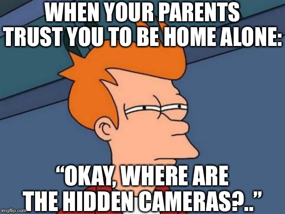 Futurama Fry Meme | WHEN YOUR PARENTS TRUST YOU TO BE HOME ALONE:; “OKAY, WHERE ARE THE HIDDEN CAMERAS?..” | image tagged in memes,futurama fry | made w/ Imgflip meme maker
