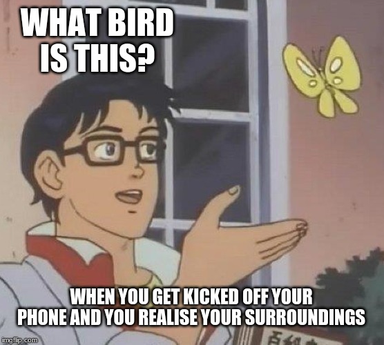 Is This A Pigeon Meme | WHAT BIRD IS THIS? WHEN YOU GET KICKED OFF YOUR PHONE AND YOU REALISE YOUR SURROUNDINGS | image tagged in memes,is this a pigeon | made w/ Imgflip meme maker
