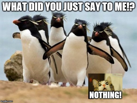 Penguin Gang | WHAT DID YOU JUST SAY TO ME!? NOTHING! | image tagged in memes,penguin gang | made w/ Imgflip meme maker