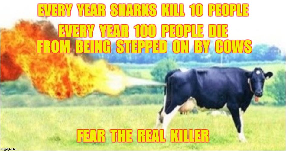 EVERY  YEAR  SHARKS  KILL  10  PEOPLE FEAR  THE  REAL  KILLER EVERY  YEAR  100  PEOPLE  DIE  FROM  BEING  STEPPED  ON  BY  COWS | made w/ Imgflip meme maker