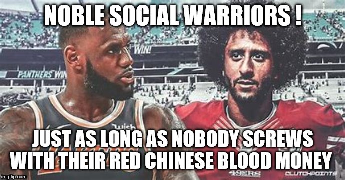 NOBLE SOCIAL WARRIORS ! JUST AS LONG AS NOBODY SCREWS WITH THEIR RED CHINESE BLOOD MONEY | image tagged in social justice warrior,democrat party,hypocrite | made w/ Imgflip meme maker