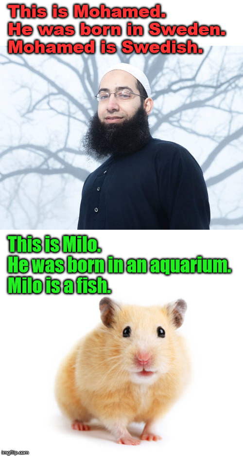 Just because you are born somewhere does not make you that nationality. | This is Mohamed. 
He was born in Sweden. 
Mohamed is Swedish. This is Milo. 
He was born in an aquarium. 
Milo is a fish. | image tagged in i don't know who you are,think about it | made w/ Imgflip meme maker