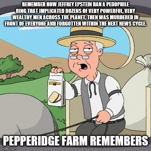 Pepperidge Farm Remembers Meme | REMEMBER HOW JEFFREY EPSTEIN RAN A PEDOPHILE RING THAT IMPLICATED DOZENS OF VERY POWERFUL, VERY WEALTHY MEN ACROSS THE PLANET, THEN WAS MURDERED IN FRONT OF EVERYONE AND FORGOTTEN WITHIN THE NEXT NEWS CYCLE. PEPPERIDGE FARM REMEMBERS | image tagged in memes,pepperidge farm remembers,AdviceAnimals | made w/ Imgflip meme maker