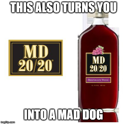 a meal in every bottle mad dog 20/20 | THIS ALSO TURNS YOU INTO A MAD DOG | image tagged in a meal in every bottle mad dog 20/20 | made w/ Imgflip meme maker