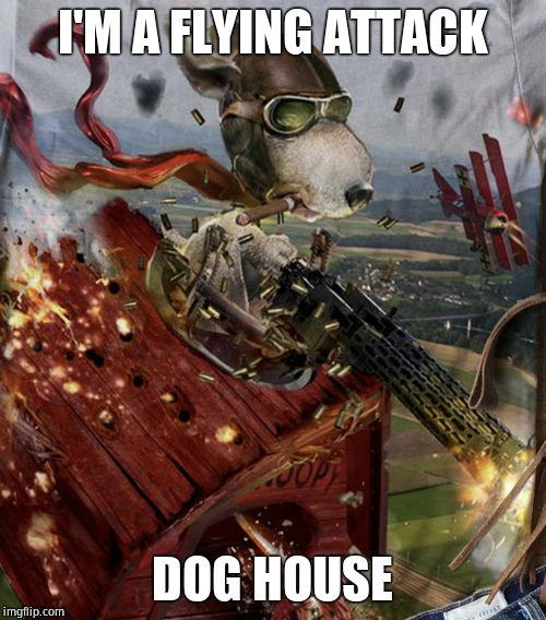 Snoopy and the Red Baron | I'M A FLYING ATTACK DOG HOUSE | image tagged in snoopy and the red baron | made w/ Imgflip meme maker