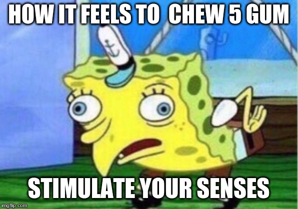 Mocking Spongebob | HOW IT FEELS TO  CHEW 5 GUM; STIMULATE YOUR SENSES | image tagged in memes,mocking spongebob | made w/ Imgflip meme maker