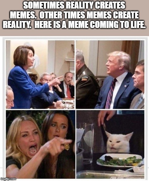 A meme coming to life | image tagged in donald trump,nancy pelosi,politics,political meme,funny | made w/ Imgflip meme maker