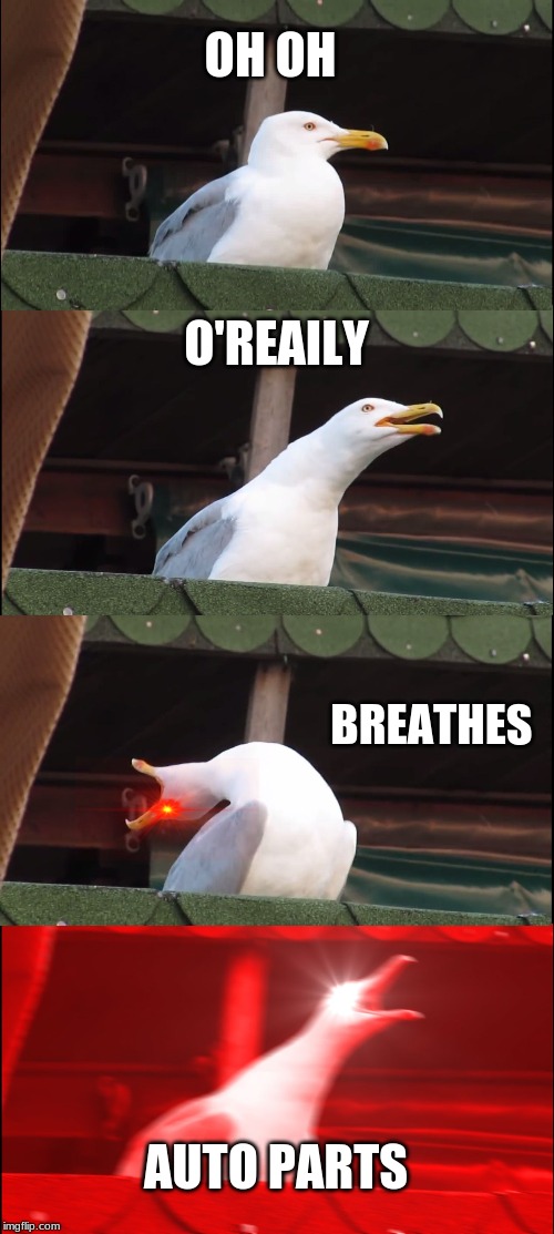 Inhaling Seagull Meme | OH OH; O'REAILY; BREATHES; AUTO PARTS | image tagged in memes,inhaling seagull | made w/ Imgflip meme maker