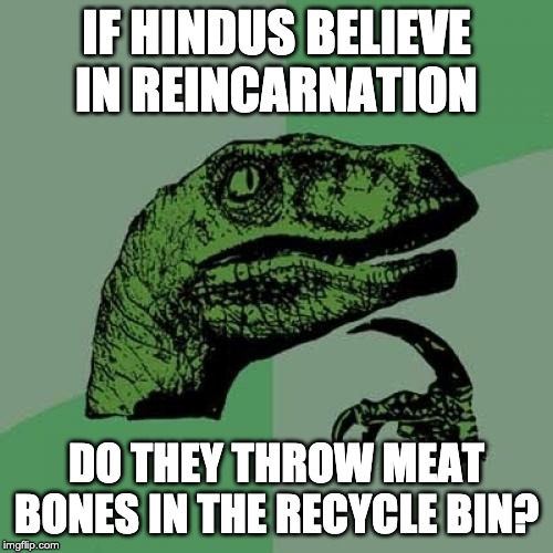 Philosoraptor | IF HINDUS BELIEVE IN REINCARNATION; DO THEY THROW MEAT BONES IN THE RECYCLE BIN? | image tagged in memes,philosoraptor | made w/ Imgflip meme maker