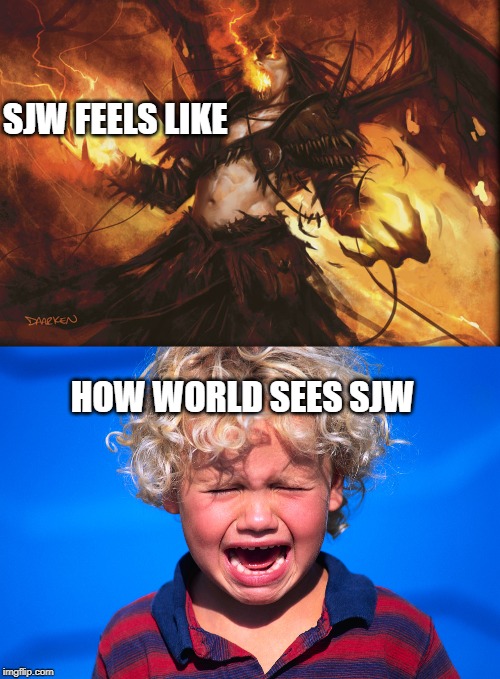 SJW Feeling | SJW FEELS LIKE; HOW WORLD SEES SJW | image tagged in sjw | made w/ Imgflip meme maker