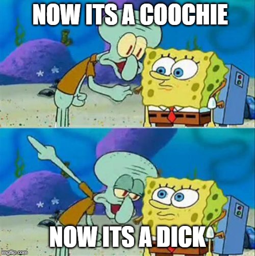 Talk To Spongebob | NOW ITS A COOCHIE; NOW ITS A DICK | image tagged in memes,talk to spongebob | made w/ Imgflip meme maker