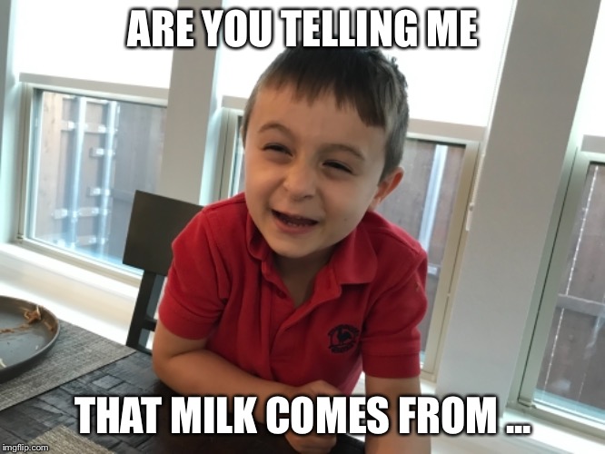 ARE YOU TELLING ME; THAT MILK COMES FROM ... | made w/ Imgflip meme maker