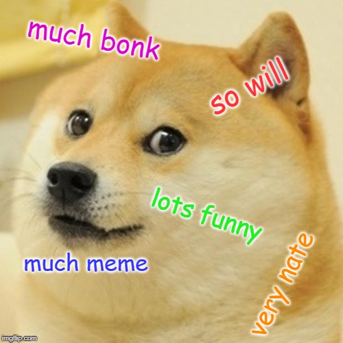 Doge Meme | much bonk; so will; lots funny; much meme; very nate | image tagged in memes,doge | made w/ Imgflip meme maker