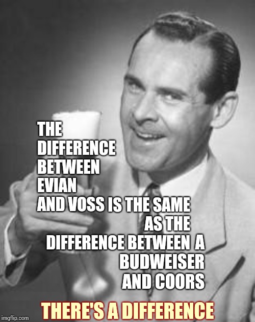 Water | THE DIFFERENCE BETWEEN EVIAN AND VOSS; A BUDWEISER AND COORS; IS THE SAME AS THE DIFFERENCE BETWEEN; THERE'S A DIFFERENCE | image tagged in guy beer,water,i could use a drink,memes,hold my beer,cold beer here | made w/ Imgflip meme maker