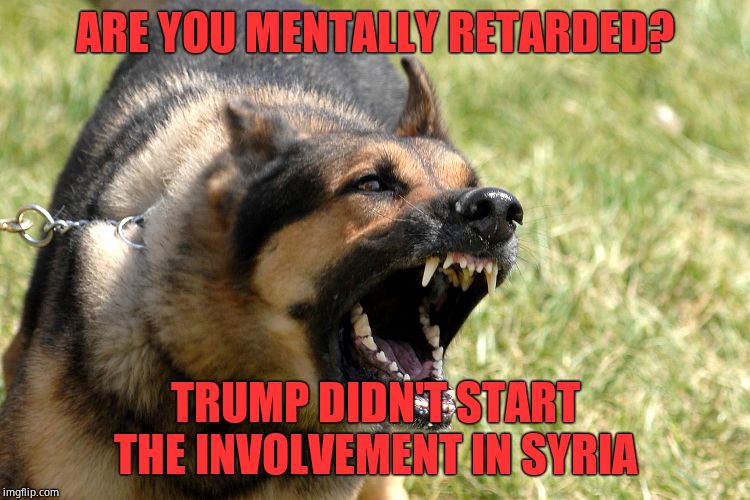 Barking dog | ARE YOU MENTALLY RETARDED? TRUMP DIDN'T START THE INVOLVEMENT IN SYRIA | image tagged in barking dog | made w/ Imgflip meme maker